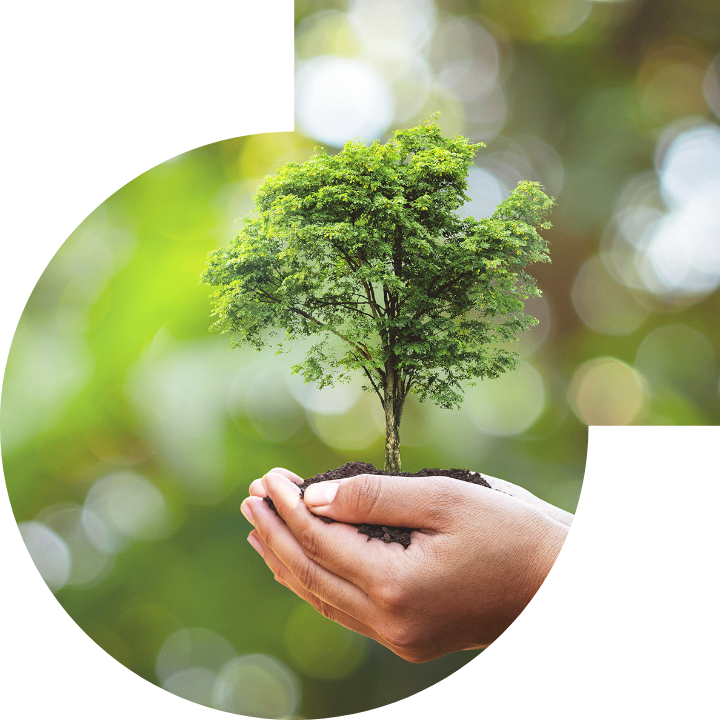 关怀人类、文化、环境与社会